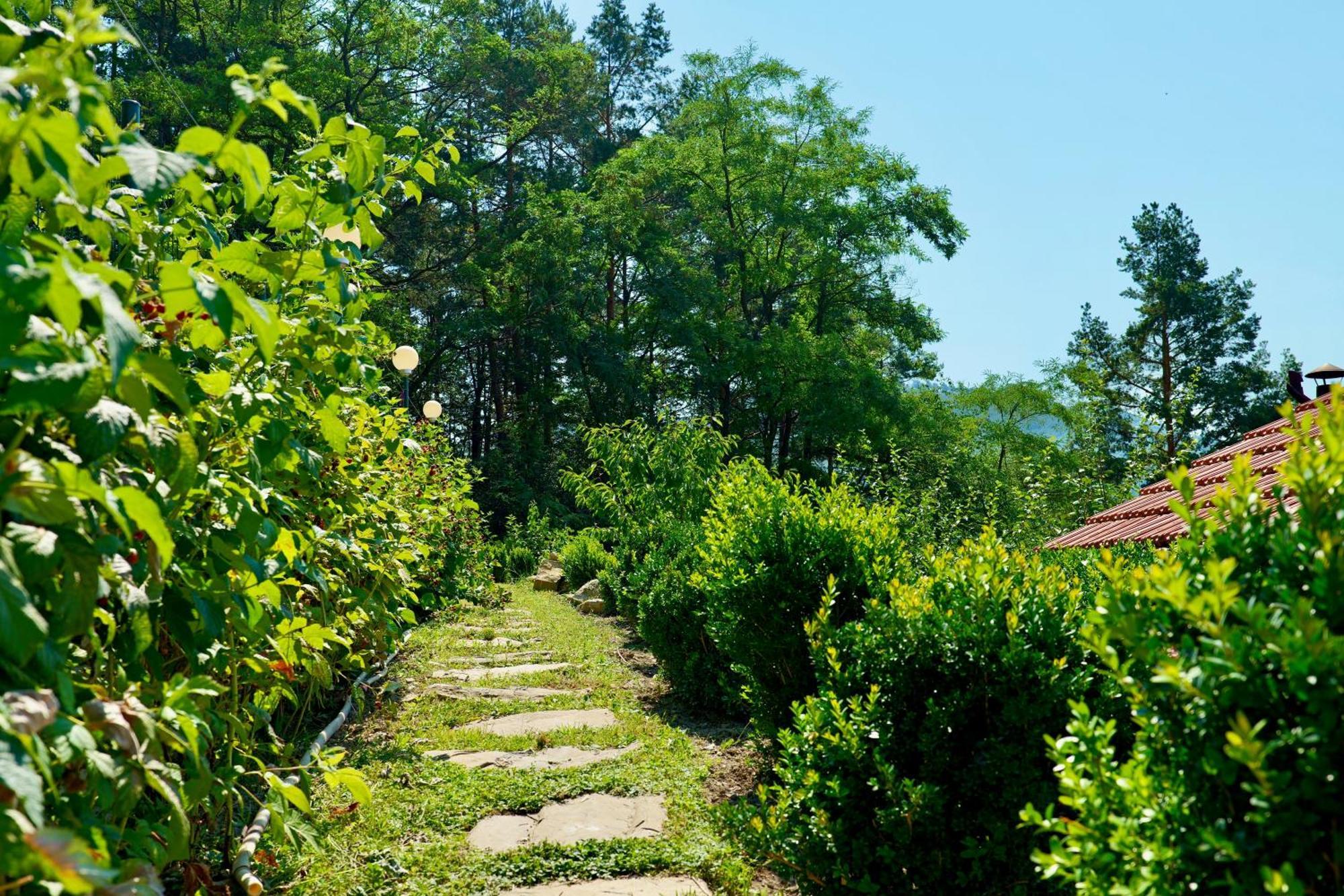 Vila Victoria Pangarati Ngoại thất bức ảnh